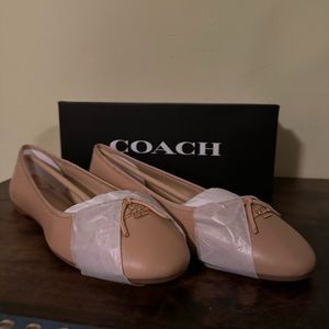 Coach - Alina Ballet Flat - Beechwood - Size 11